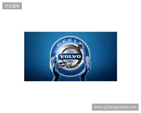 IEM里约 2026：大开大合！NAVI 2-1 战胜B8